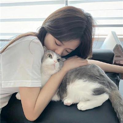 华语热播